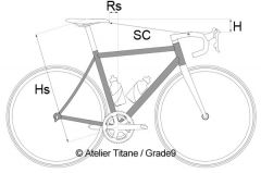 Position Cycliste Route